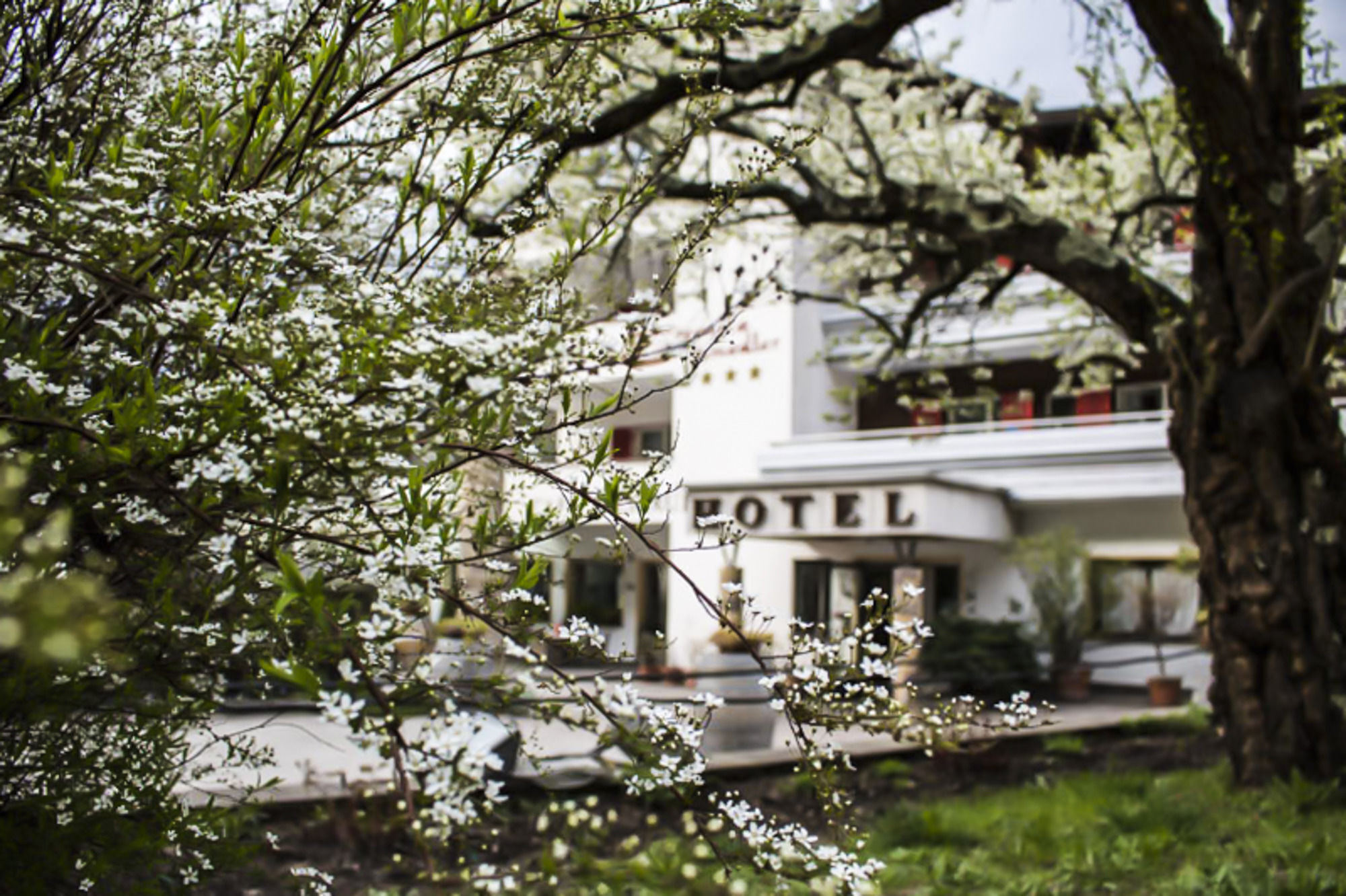 Prinz Rudolf Smart Hotel Merano Exteriér fotografie